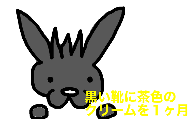 肉体検証 １ヶ月連続で黒い靴を茶色のクリームで磨いてみた Mokabuu Com