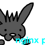 Nginxでphpファイルが読み込まれない時