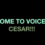 【アカペラ】VoicePlayのメンバーって今どうなってるの？Cesar De La Rosaって何者？